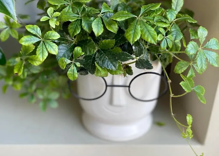 Stadlerino - Tiny Loft In Venice 公寓 *