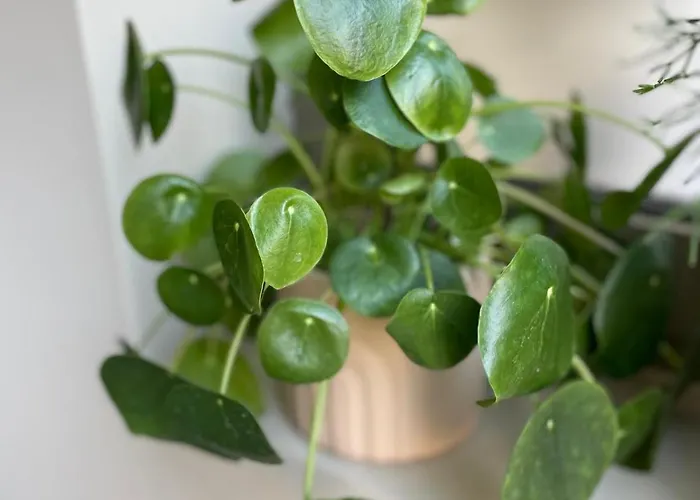 Stadlerino - Tiny Loft In Venice 马格拉