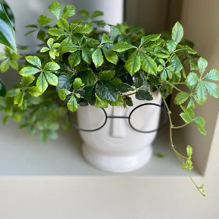 Stadlerino - Tiny Loft In Venice Apartman *